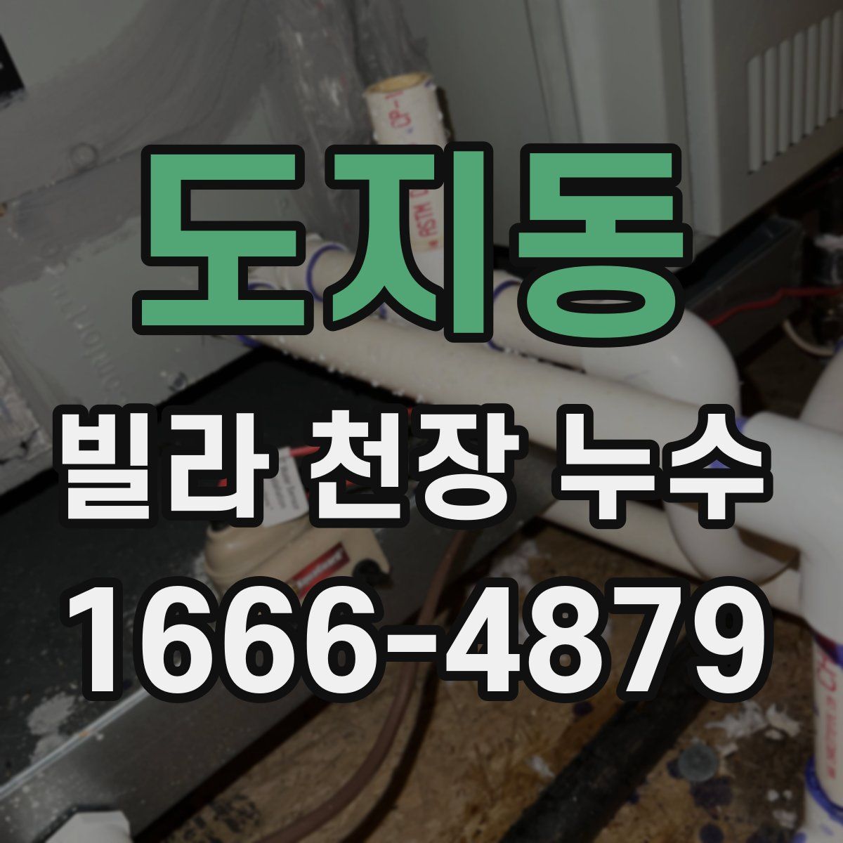 도지동 빌라 천장 누수