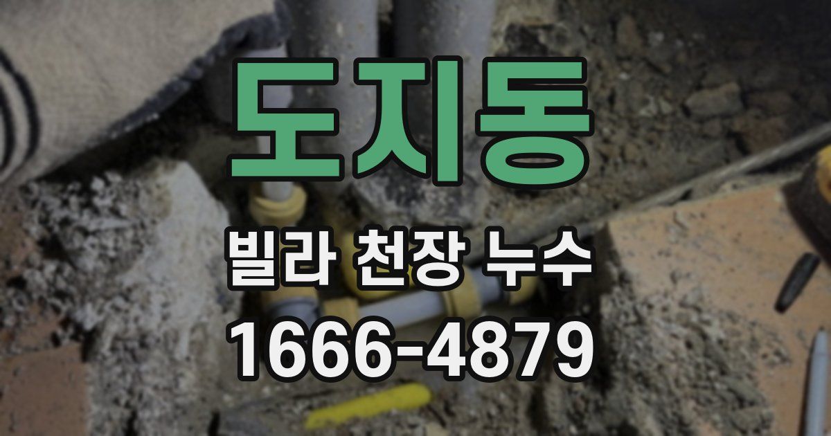 도지동 빌라 천장 누수