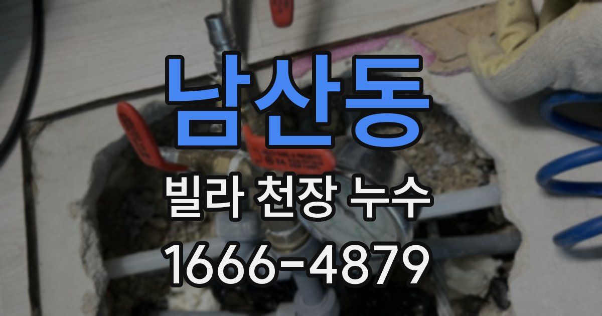 남산동 빌라 천장 누수