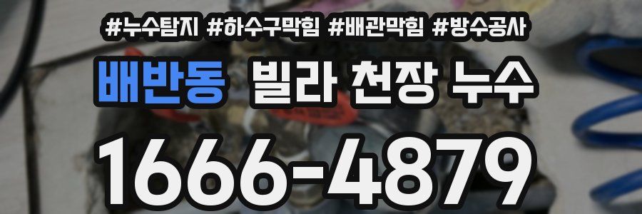 배반동 빌라 천장 누수