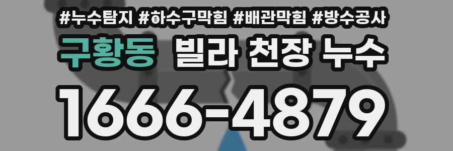 구황동 빌라 천장 누수