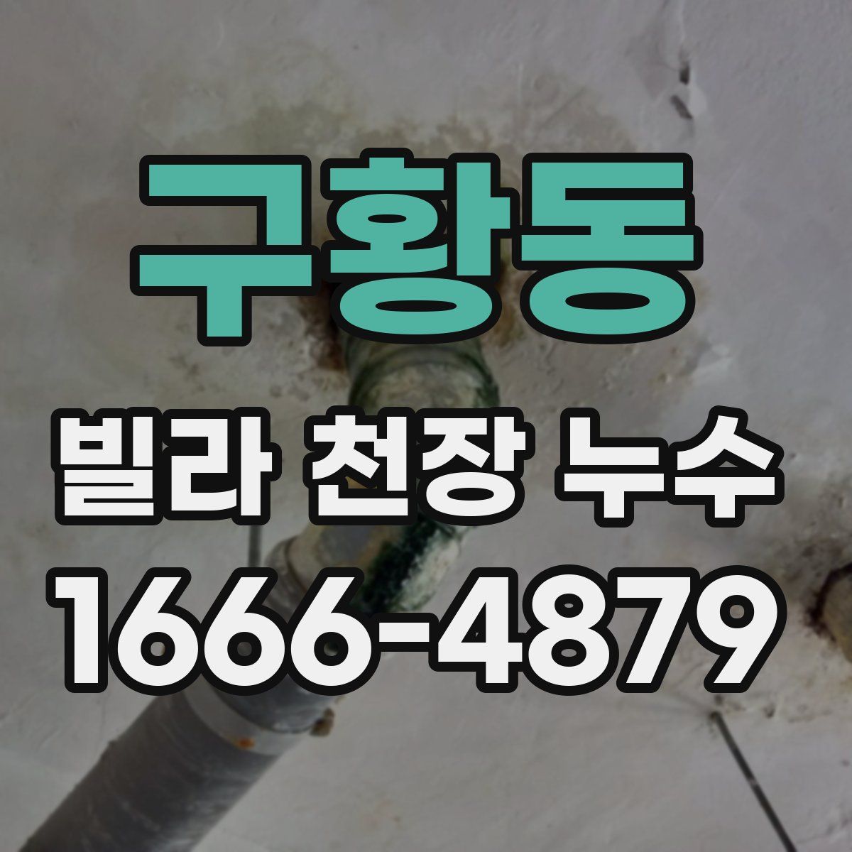 구황동 빌라 천장 누수