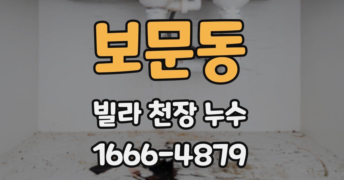 보문동 빌라 천장 누수
