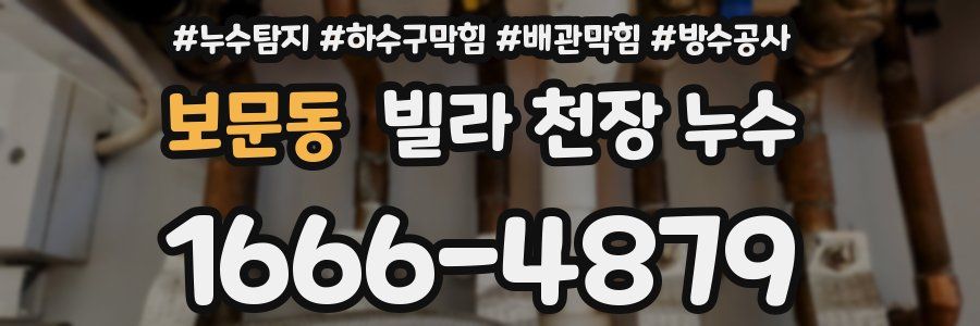 보문동 빌라 천장 누수