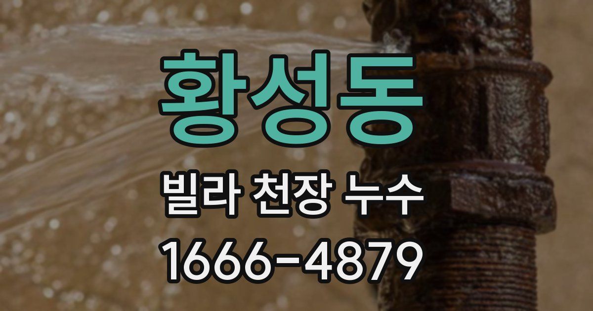 황성동 빌라 천장 누수