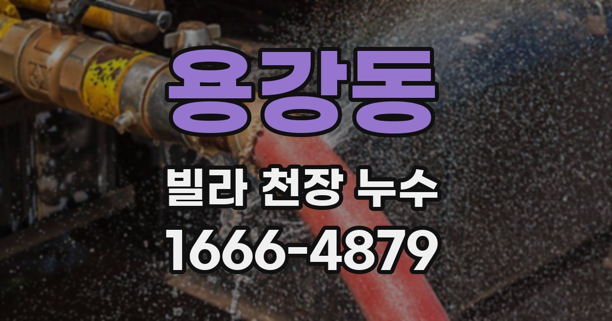 용강동 빌라 천장 누수