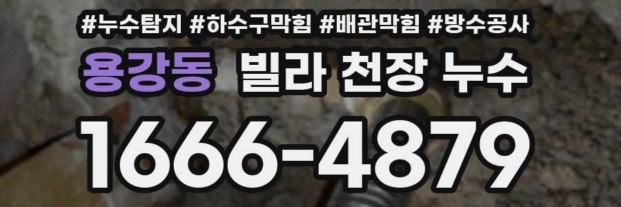 용강동 빌라 천장 누수