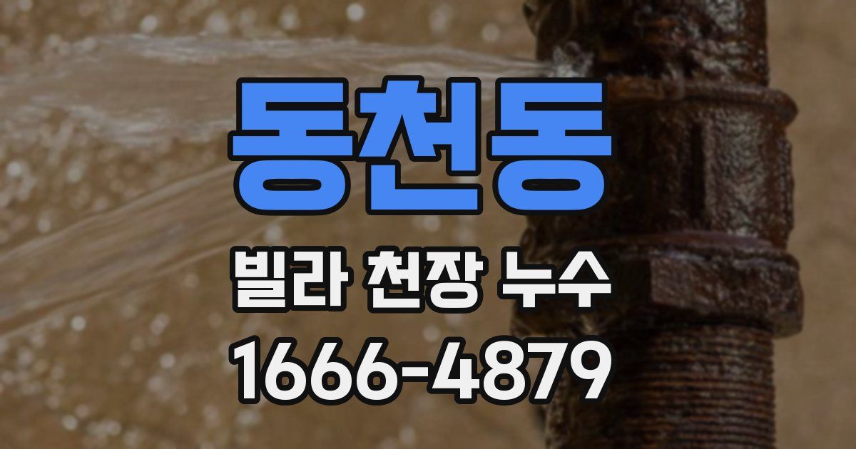 동천동 빌라 천장 누수