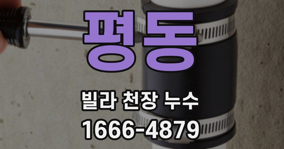 평동 빌라 천장 누수