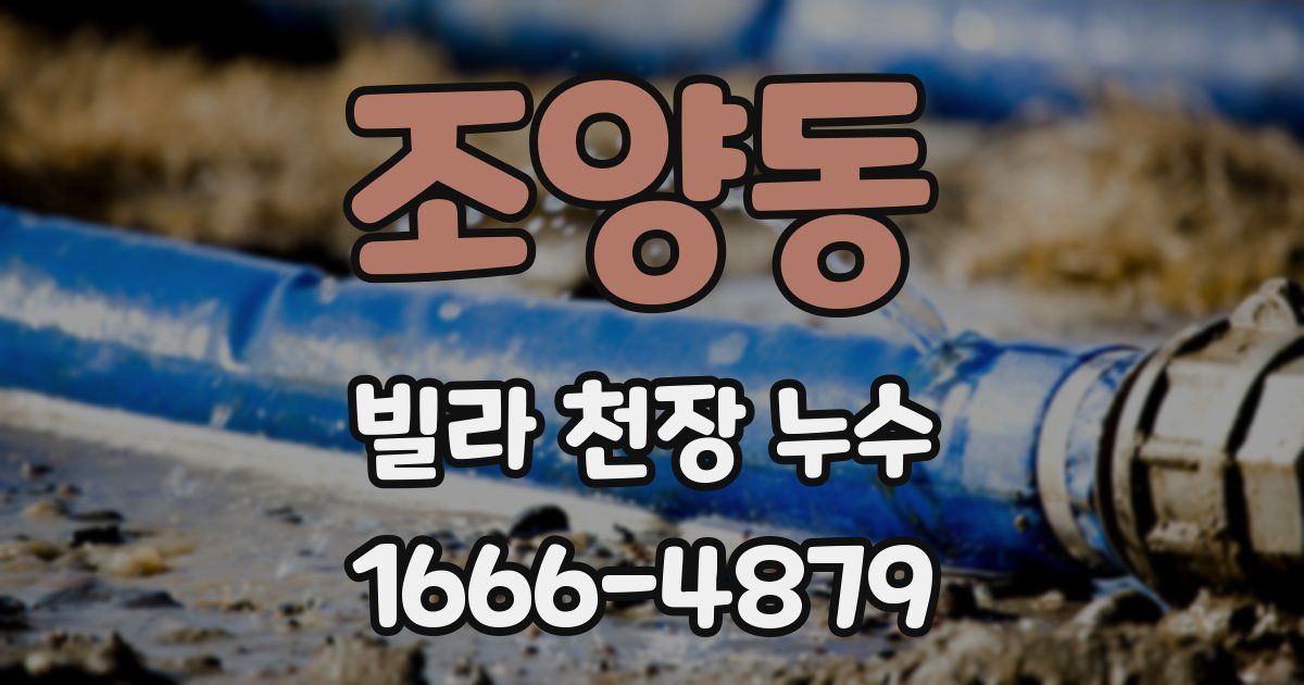 조양동 빌라 천장 누수