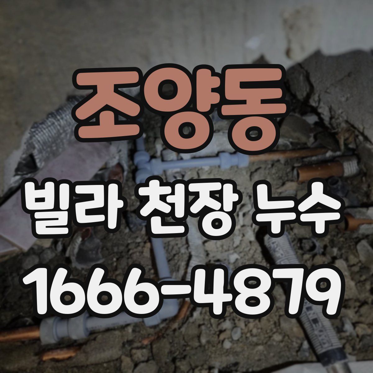 조양동 빌라 천장 누수