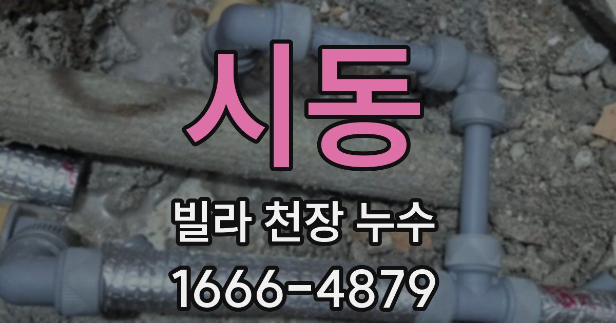 시동 빌라 천장 누수