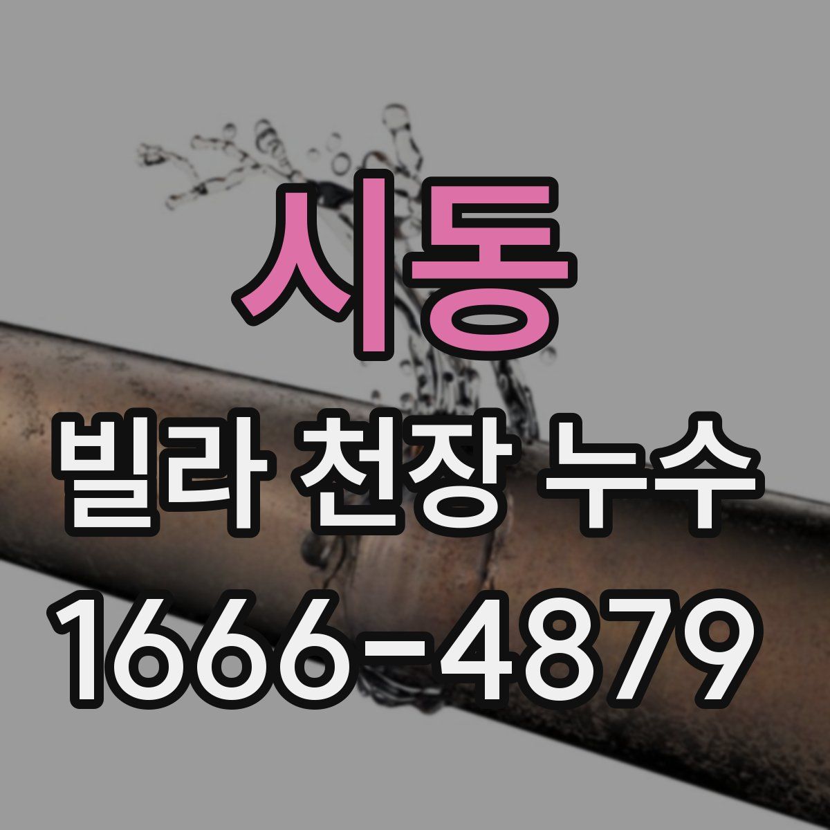 시동 빌라 천장 누수