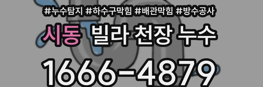 시동 빌라 천장 누수