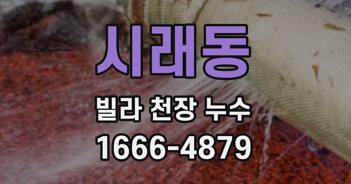 시래동 빌라 천장 누수