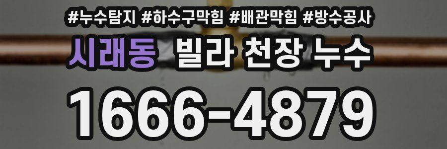 시래동 빌라 천장 누수