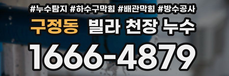 구정동 빌라 천장 누수