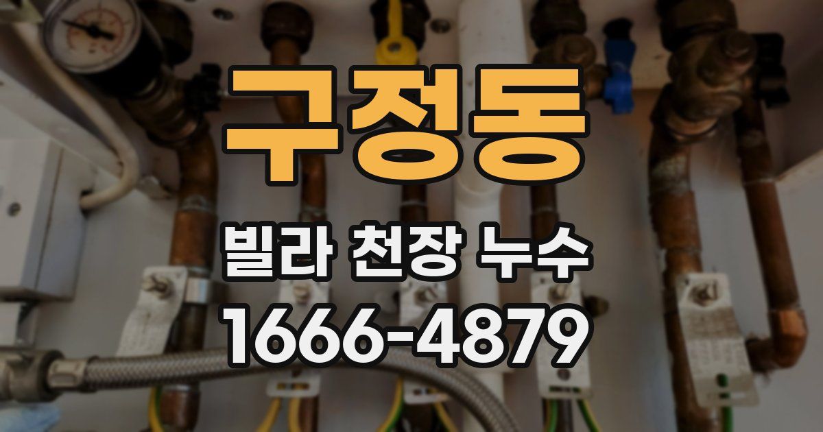구정동 빌라 천장 누수