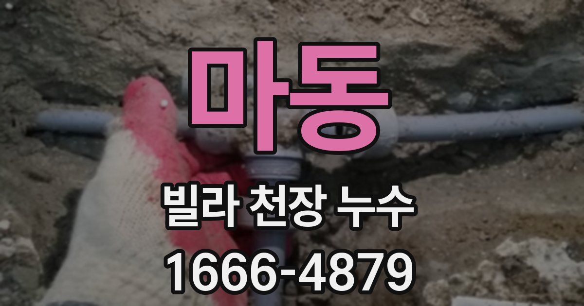 마동 빌라 천장 누수