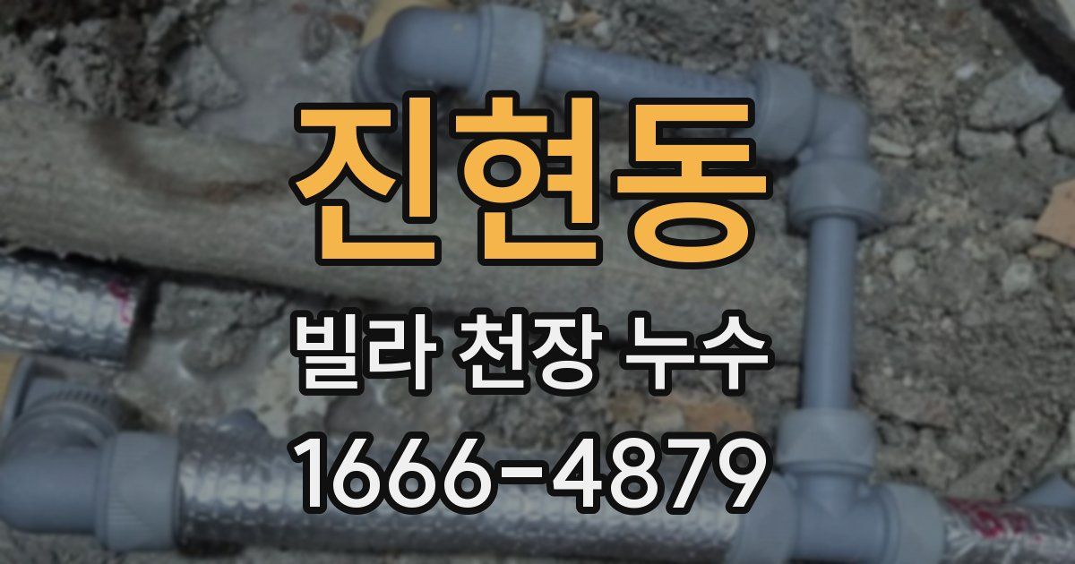 진현동 빌라 천장 누수