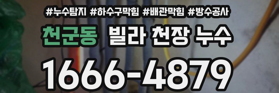 천군동 빌라 천장 누수
