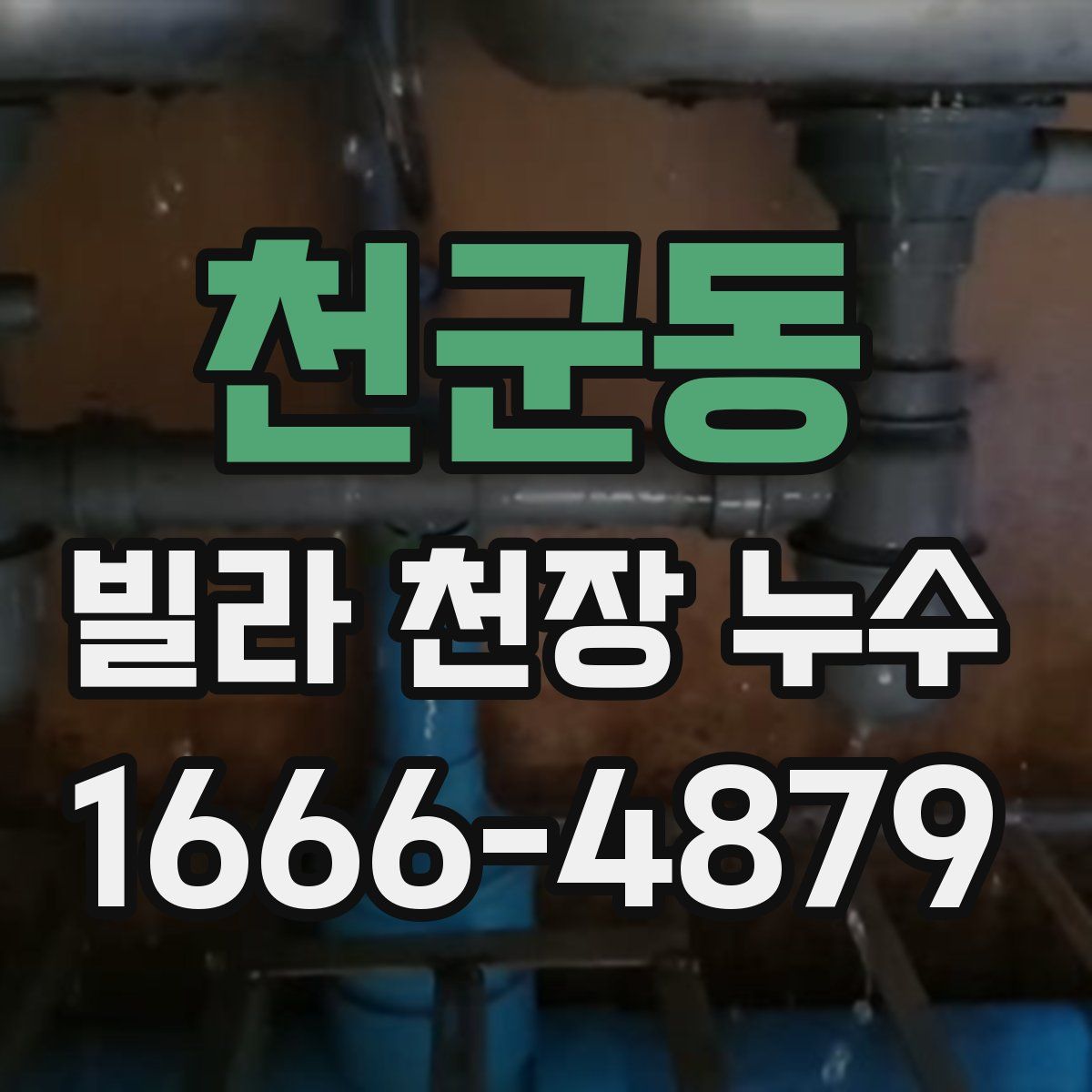 천군동 빌라 천장 누수