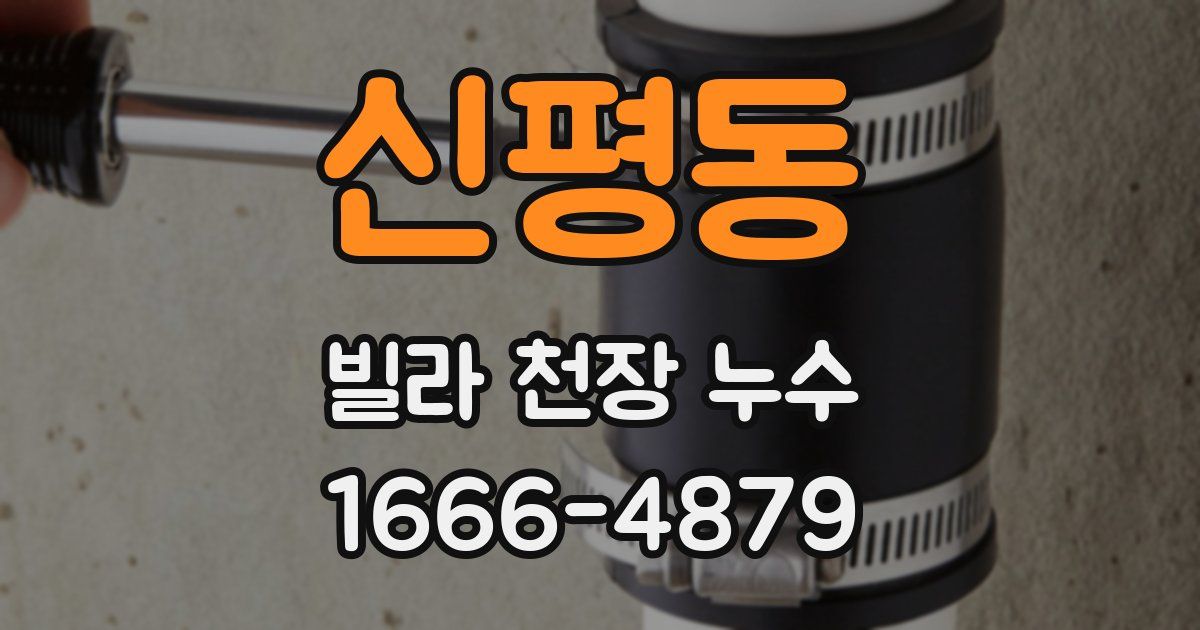 신평동 빌라 천장 누수