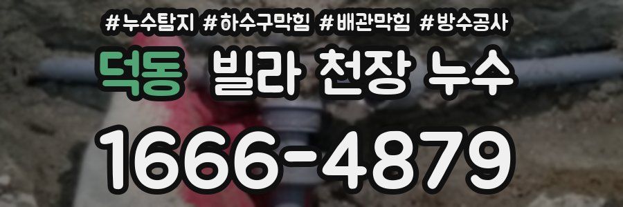 덕동 빌라 천장 누수