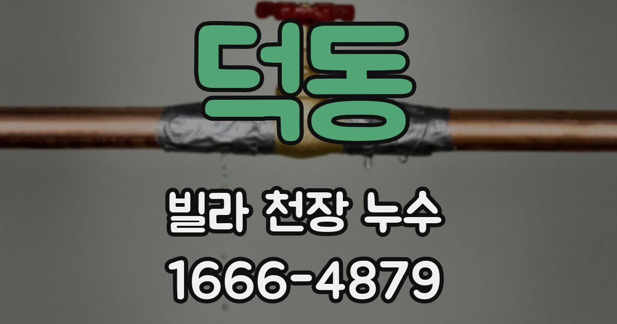 덕동 빌라 천장 누수