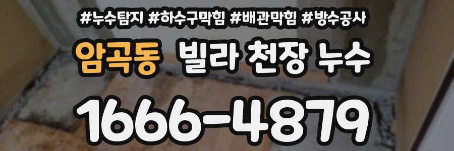 암곡동 빌라 천장 누수