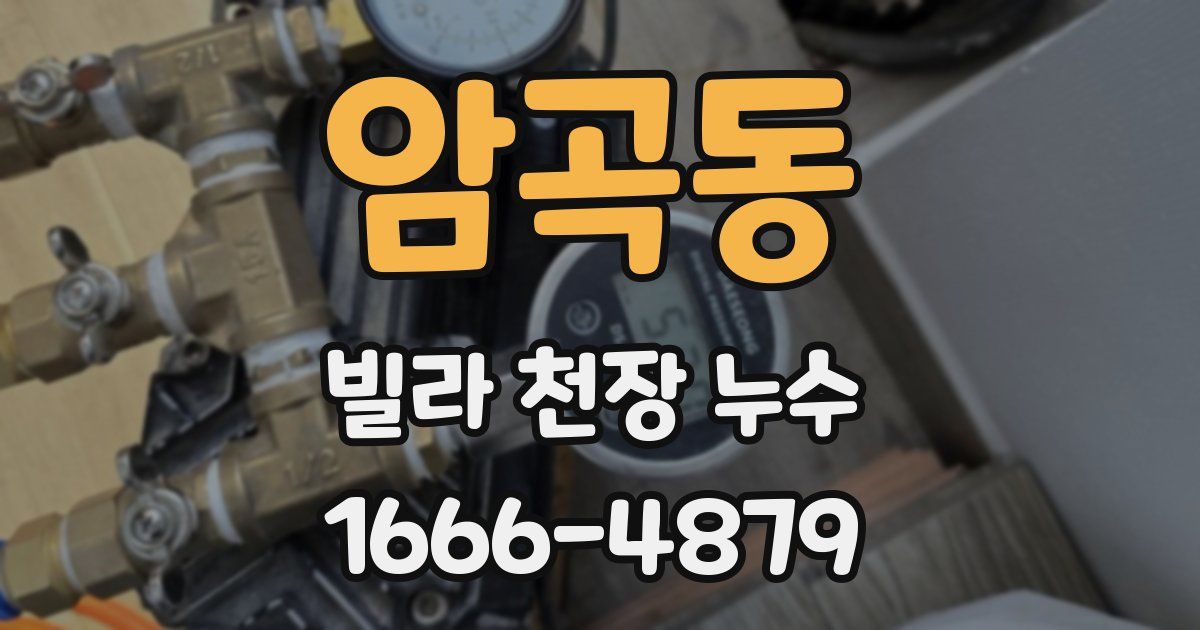 암곡동 빌라 천장 누수