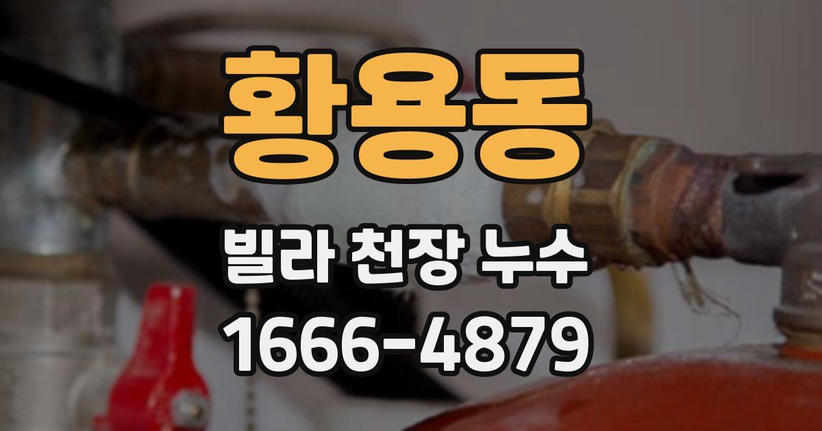 황용동 빌라 천장 누수