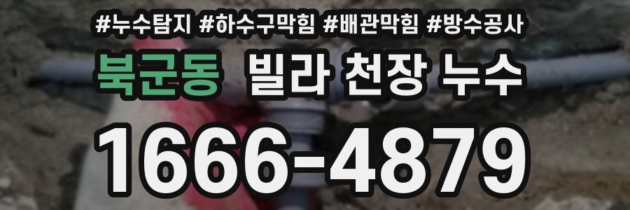 북군동 빌라 천장 누수