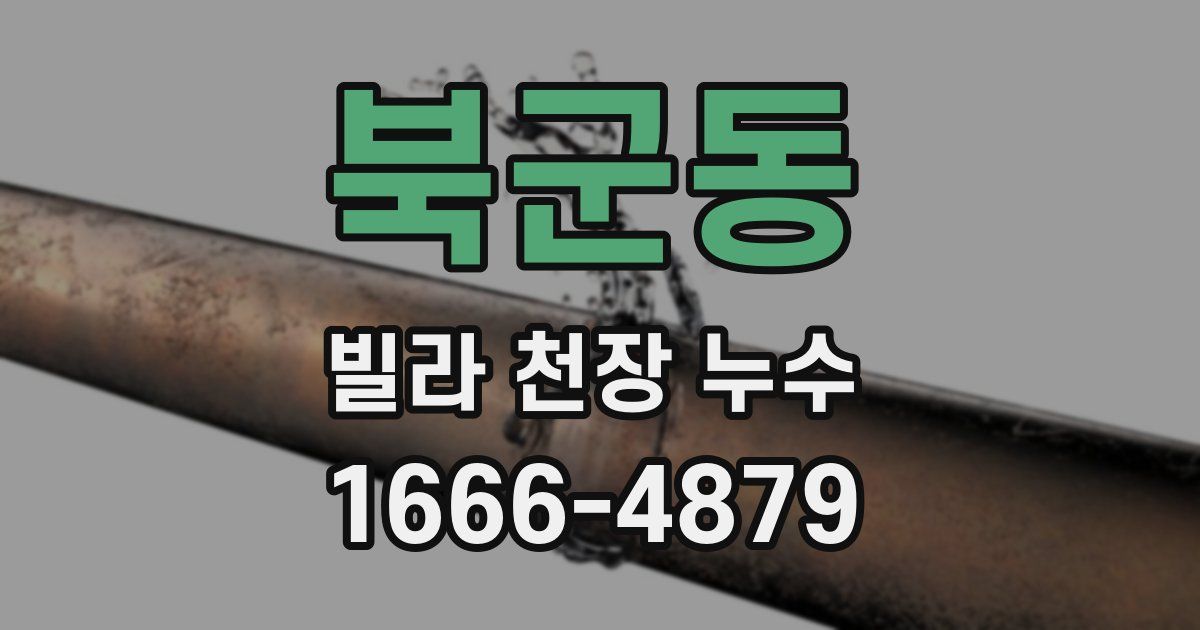 북군동 빌라 천장 누수