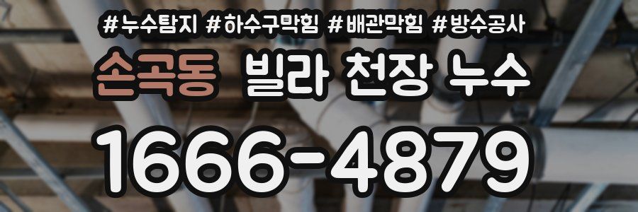 손곡동 빌라 천장 누수