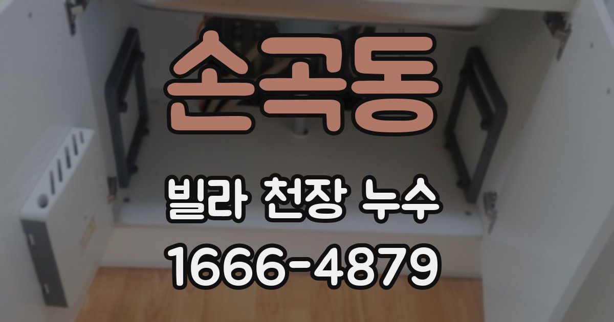 손곡동 빌라 천장 누수