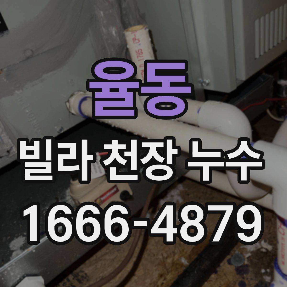 율동 빌라 천장 누수