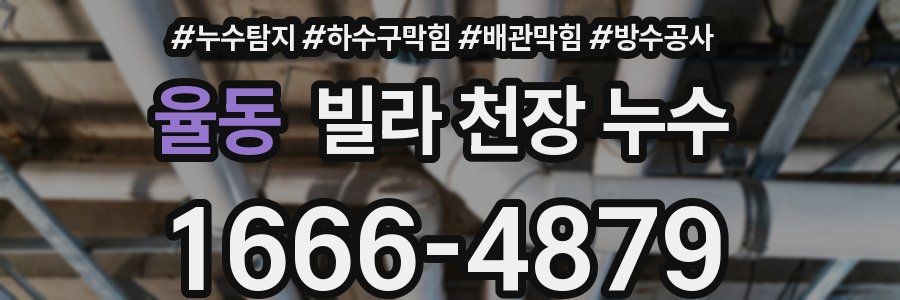 율동 빌라 천장 누수