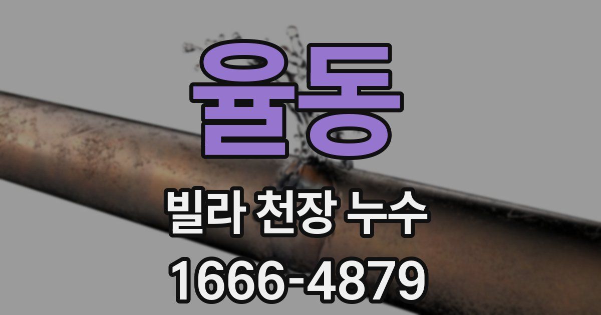 율동 빌라 천장 누수