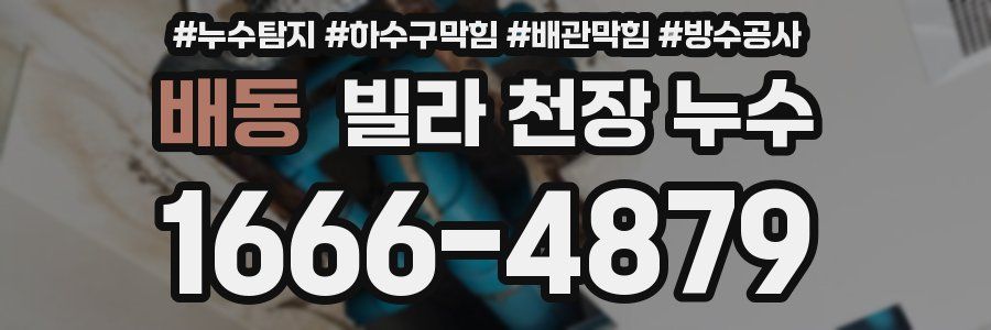 배동 빌라 천장 누수