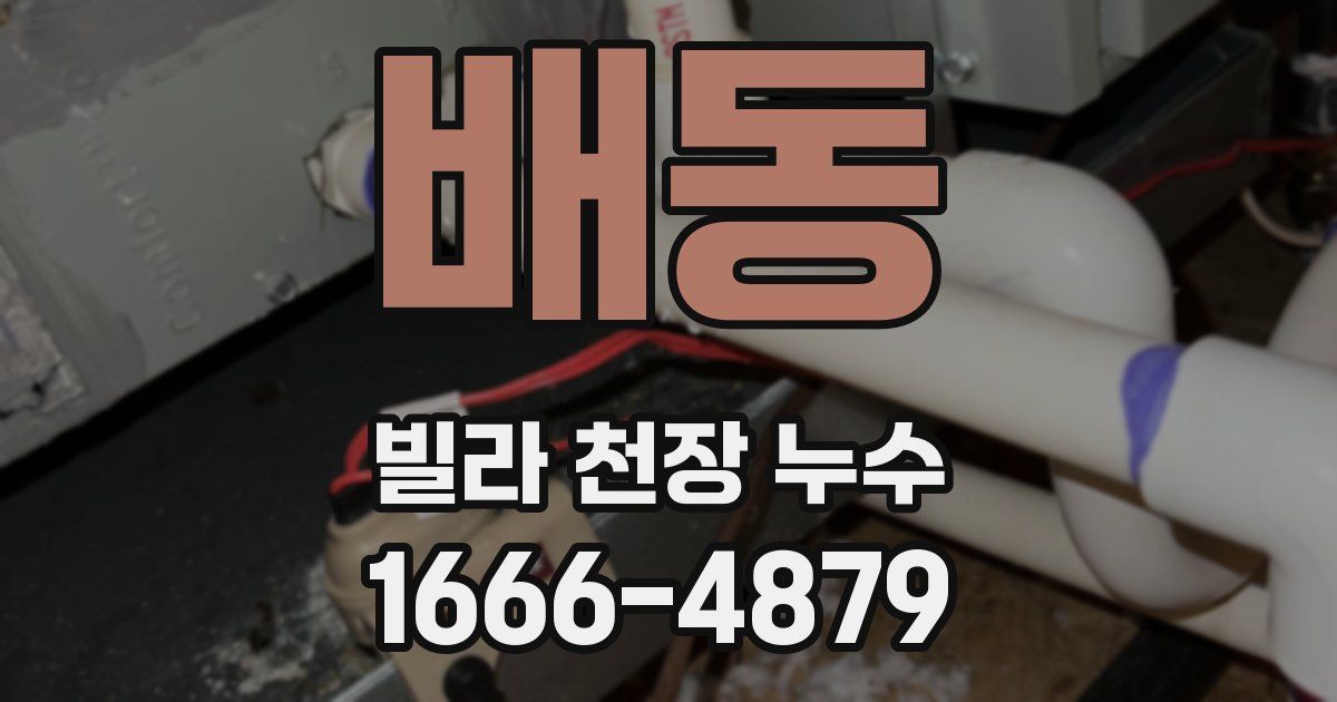 배동 빌라 천장 누수