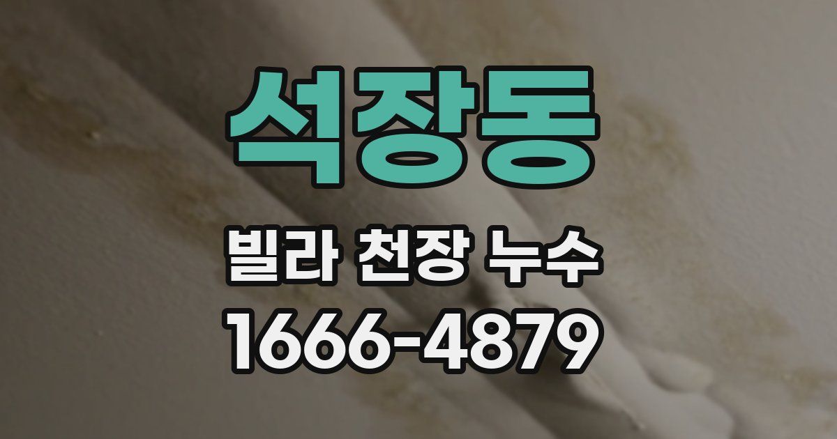 석장동 빌라 천장 누수
