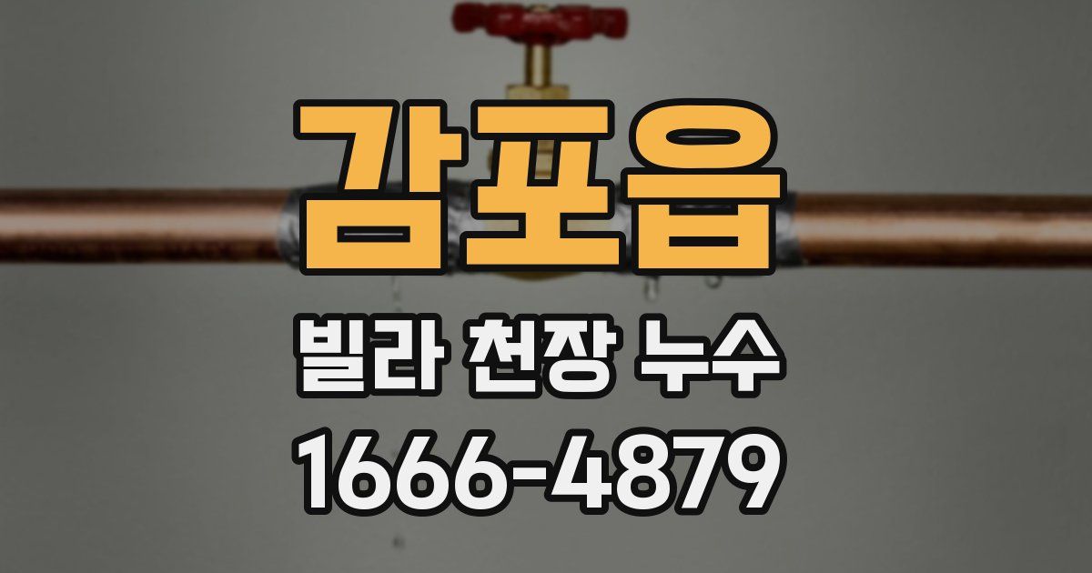 감포읍 빌라 천장 누수