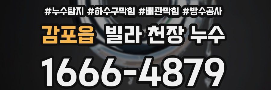 감포읍 빌라 천장 누수