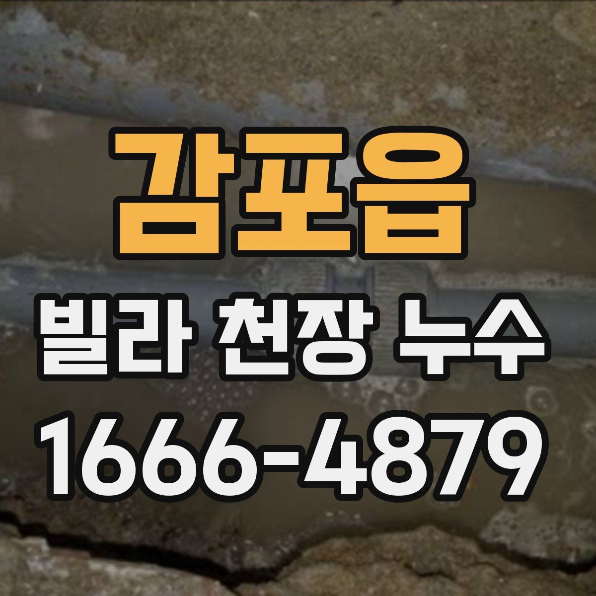 감포읍 빌라 천장 누수