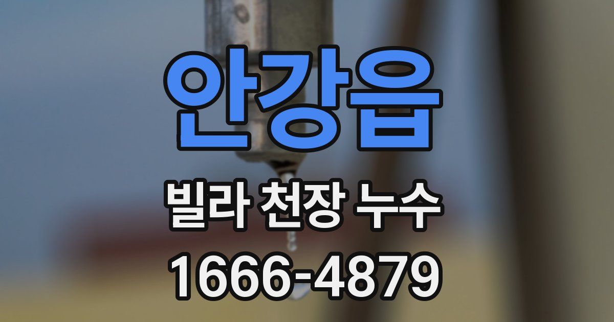 안강읍 빌라 천장 누수
