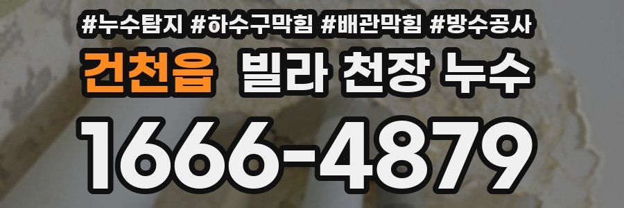 건천읍 빌라 천장 누수
