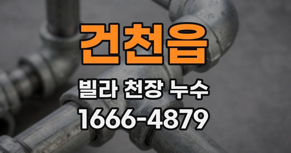 건천읍 빌라 천장 누수