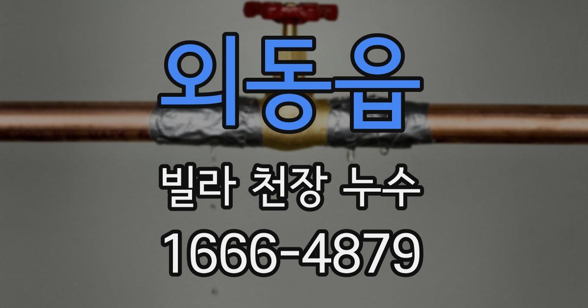 외동읍 빌라 천장 누수
