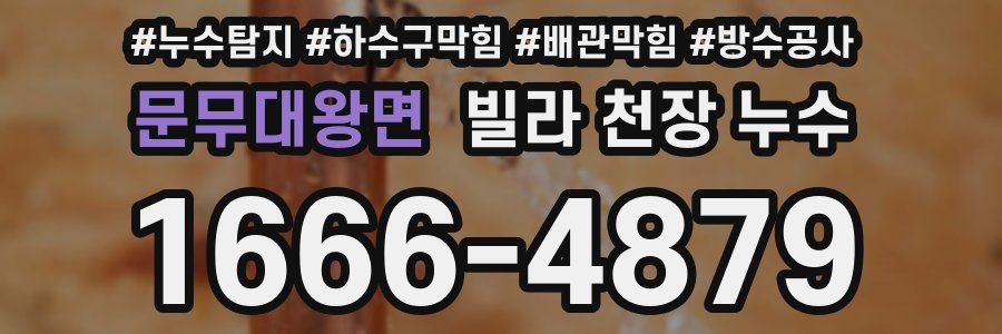 문무대왕면 빌라 천장 누수